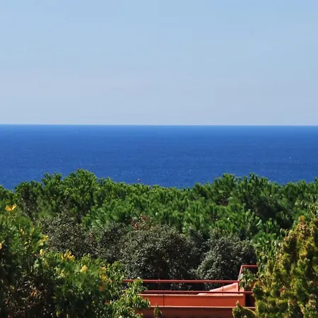 Club Villamar - Fedora