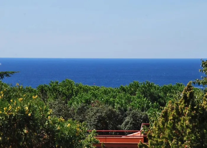 Club Villamar - Fedora